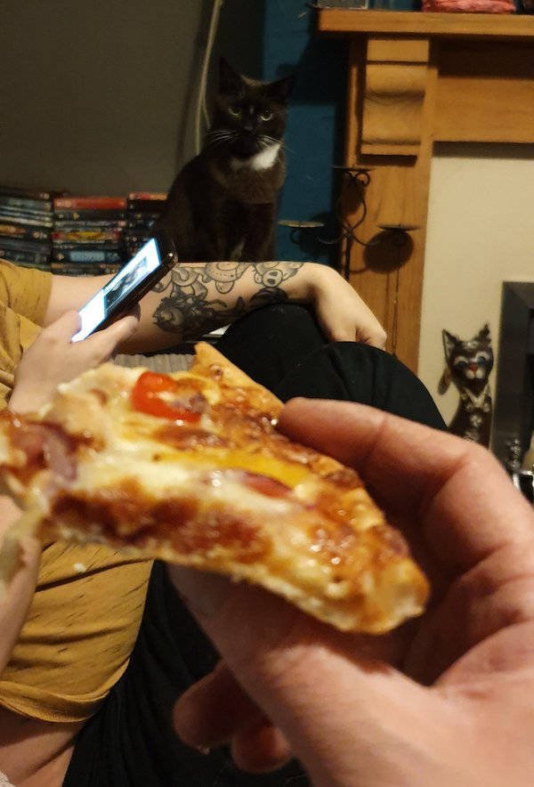 They Need Your Food (34 pics)