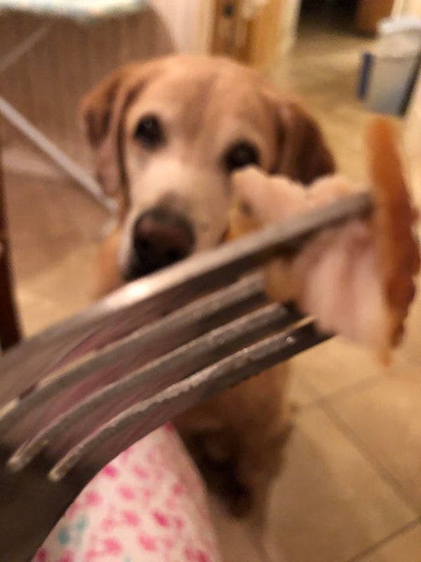 They Need Your Food (34 pics)