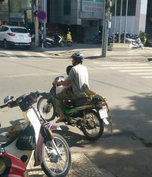 Strange Asians (40 pics)