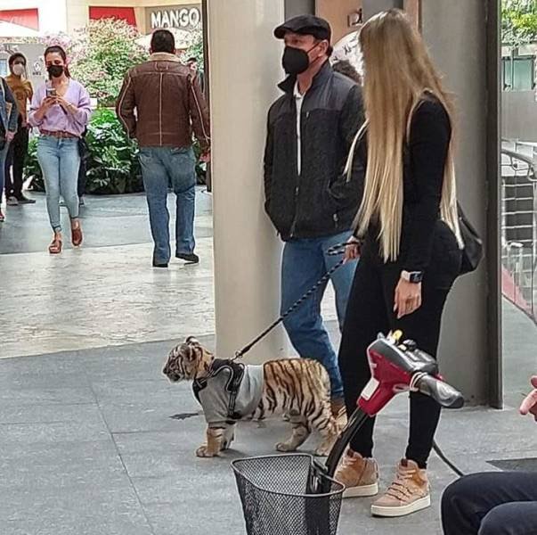 Annoying People And Situations (18 pics) Annoying People And Situations (18 pics)