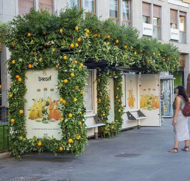 Creative Marketing (48 pics)