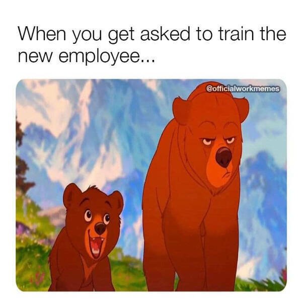 Work Memes (29 pics)