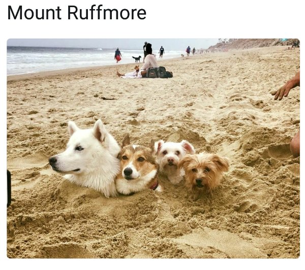 Good Boys (20 pics)