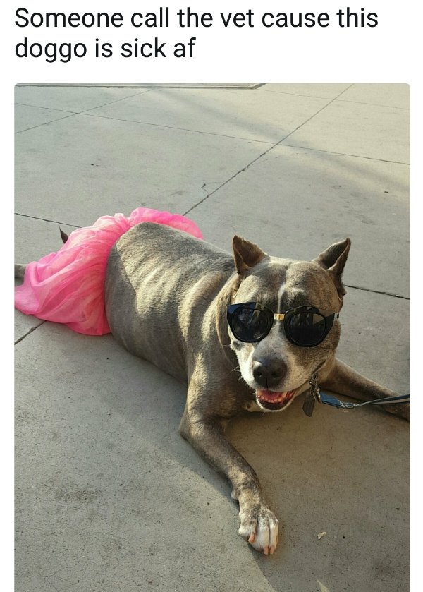 Good Boys (20 pics)