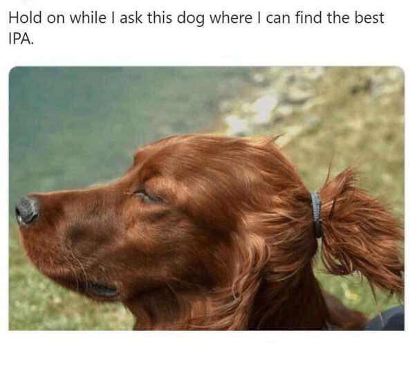 Good Boys (20 pics)