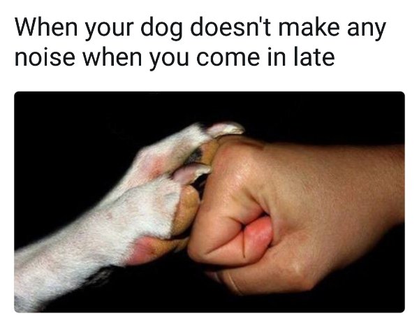 Good Boys (20 pics)