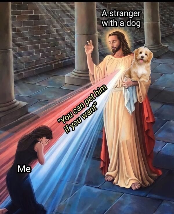 Good Boys (20 pics)