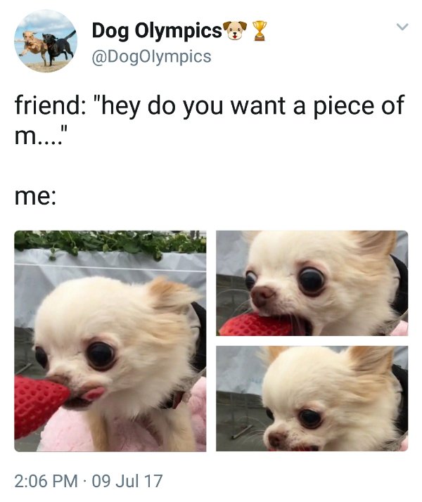 Good Boys (20 pics)