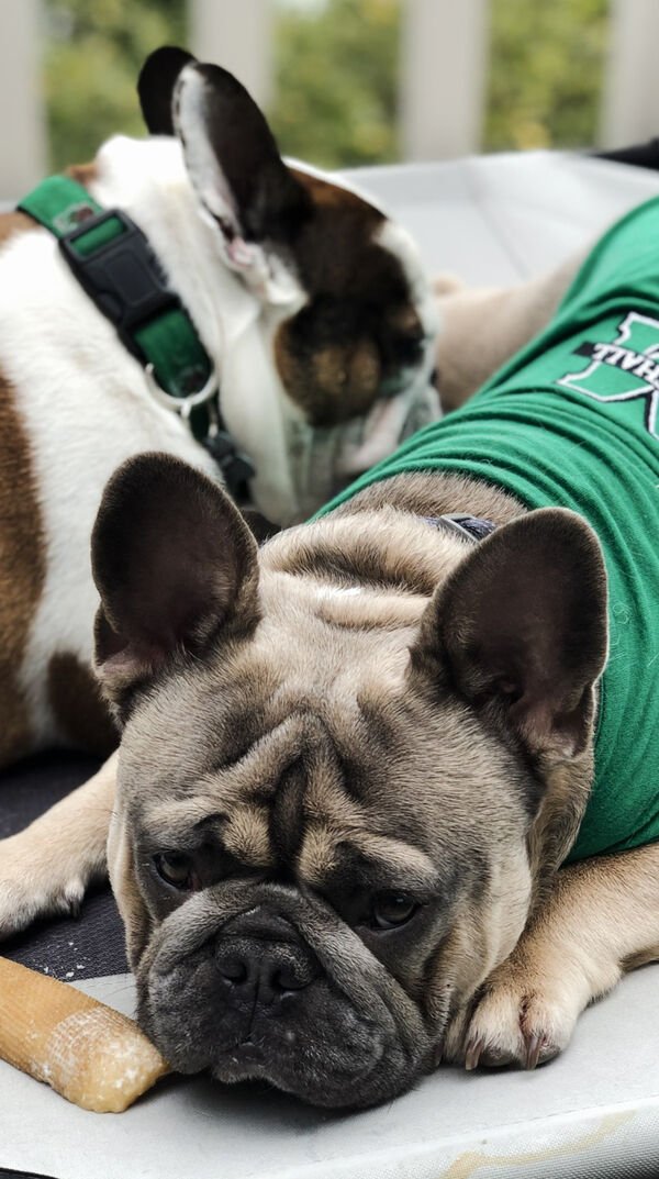 Good Boys (20 pics)