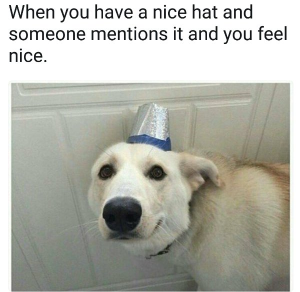 Good Boys (20 pics)