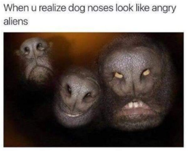 Good Boys (20 pics)