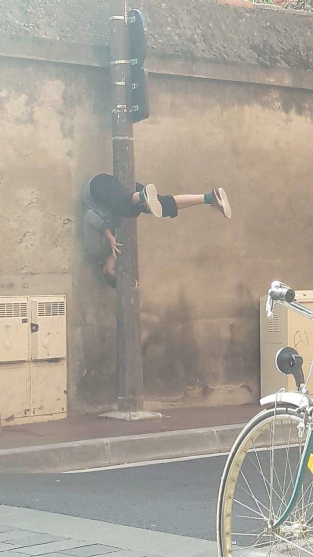 Strange Finds And Situations (57 pics)