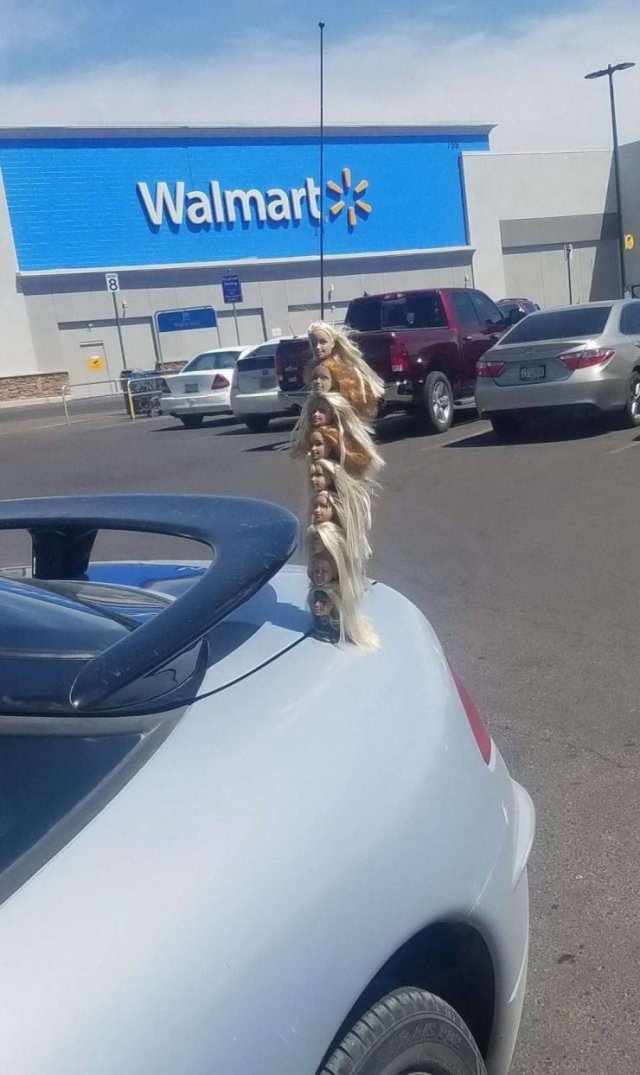 Strange Finds And Situations (57 pics)