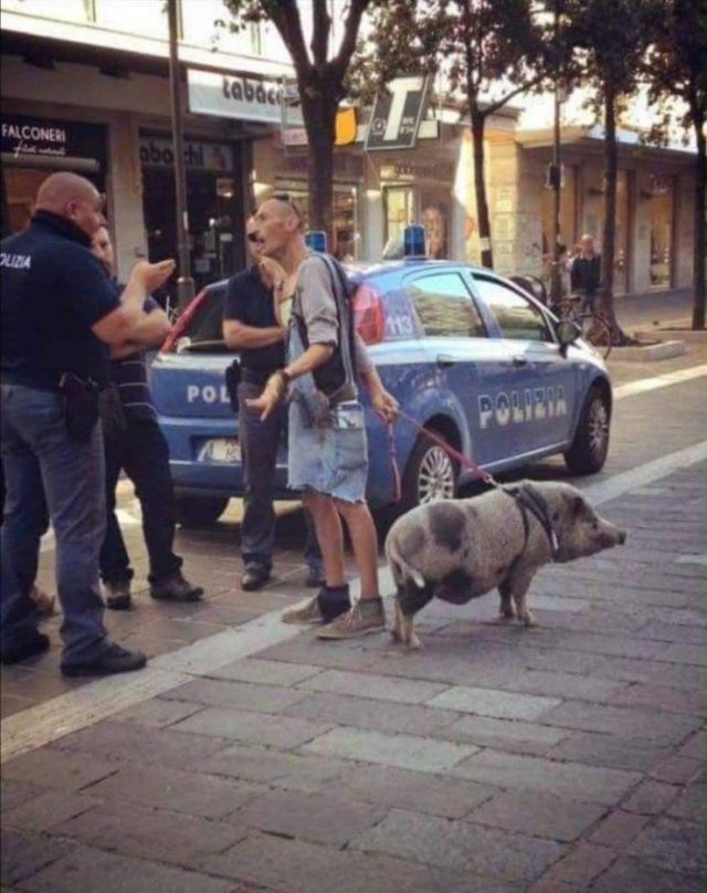 Strange Finds And Situations (57 pics)
