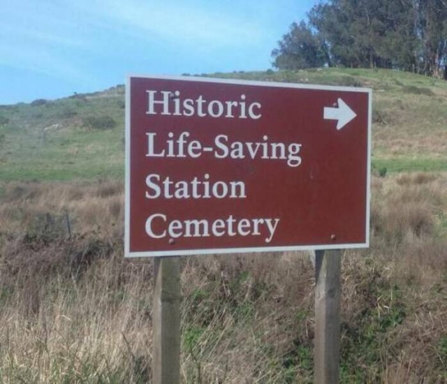 Odd And Funny Signs (29 pics)