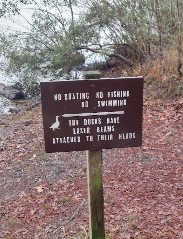 Odd And Funny Signs (29 pics)