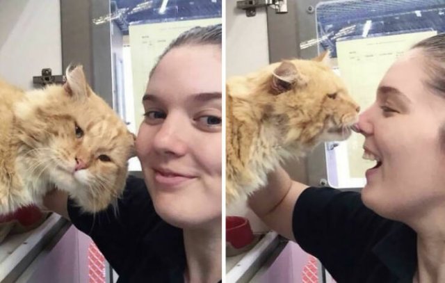 People Share Their Interesting Work Photos (48 pics)