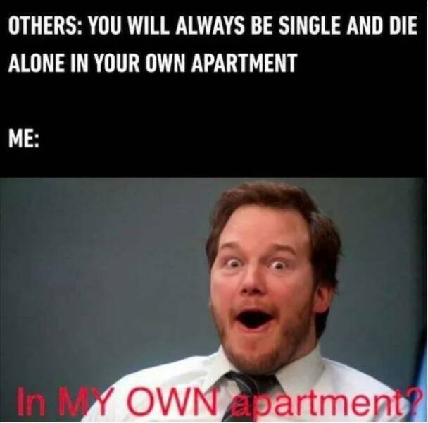 Memes For Singles (27 pics)