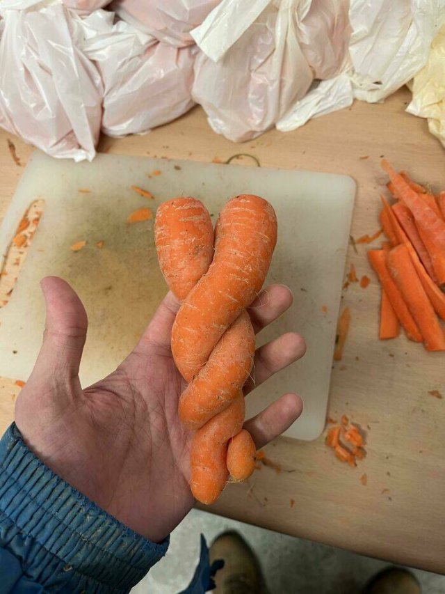 People Share Their Interesting Work Photos (48 pics)
