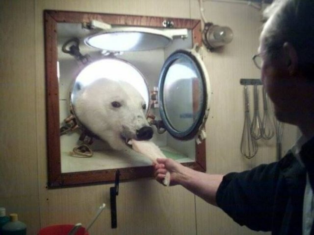 People Share Their Interesting Work Photos (48 pics)