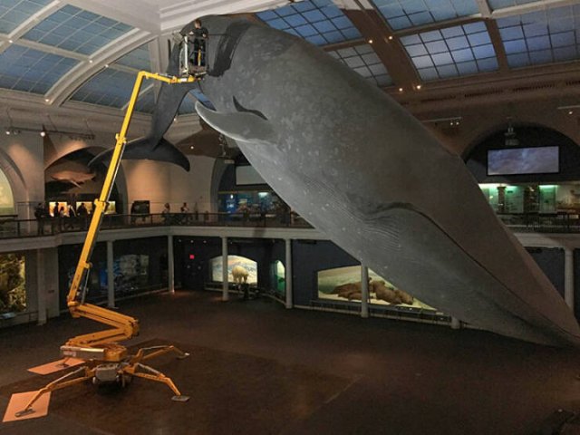 People Share Their Interesting Work Photos (48 pics)