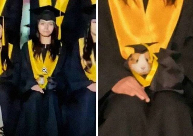 Cute Animals In Unexpected Locations (49 pics)