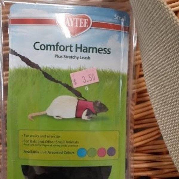 Weird Finds In Thrift Shops (26 pics)