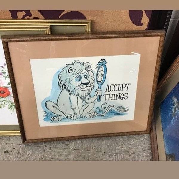 Weird Finds In Thrift Shops (26 pics)