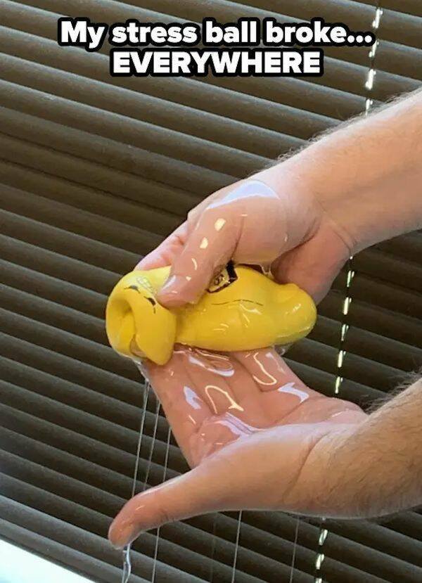 Sad Finds And Situations (35 pics)