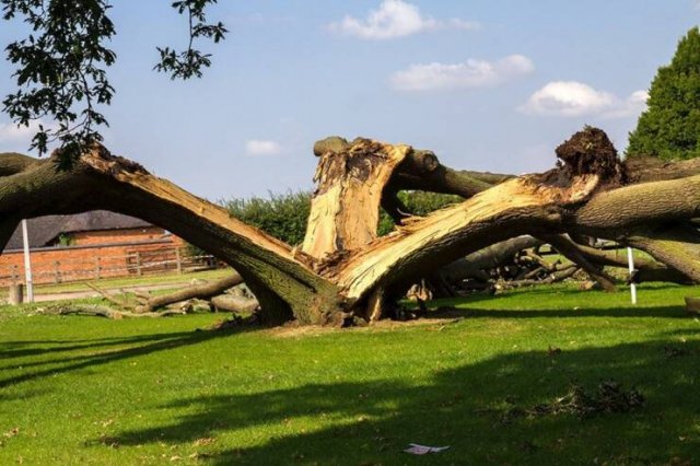 Fascinating Finds (40 pics)