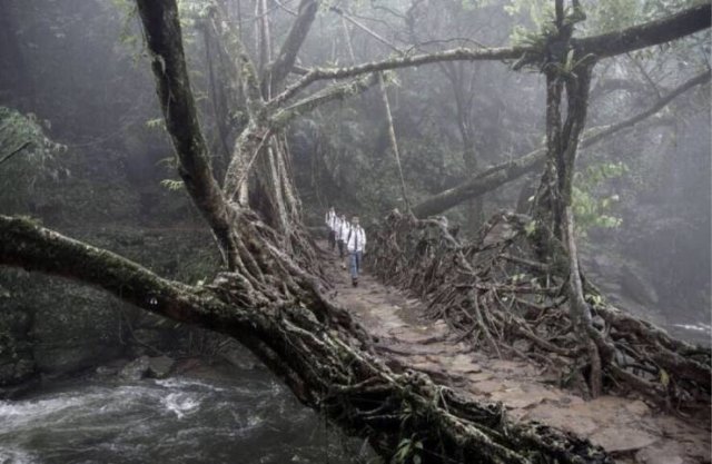 Fascinating Finds (40 pics)