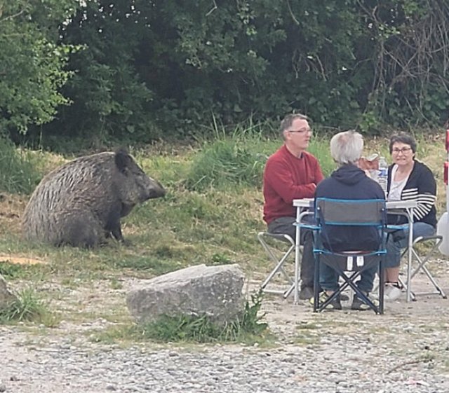 Fascinating Finds (40 pics)