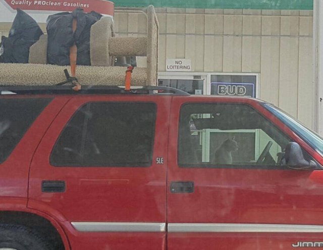 Fascinating Finds (40 pics)