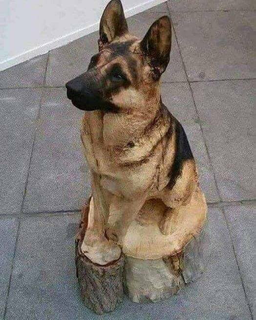 Fascinating Finds (40 pics)