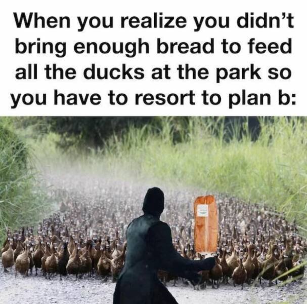 Truthful Memes (39 pics)