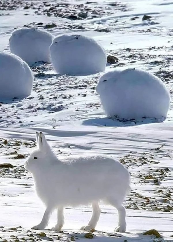 Giant Things (32 pics)