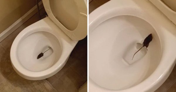Bad Days Happen (30 pics)