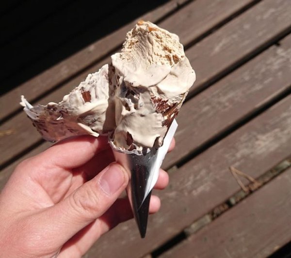 Bad Days Happen (30 pics) Bad Days Happen (30 pics)
