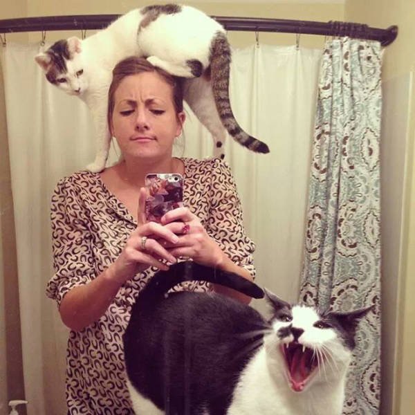 They Don't Like Selfie (21 pics)