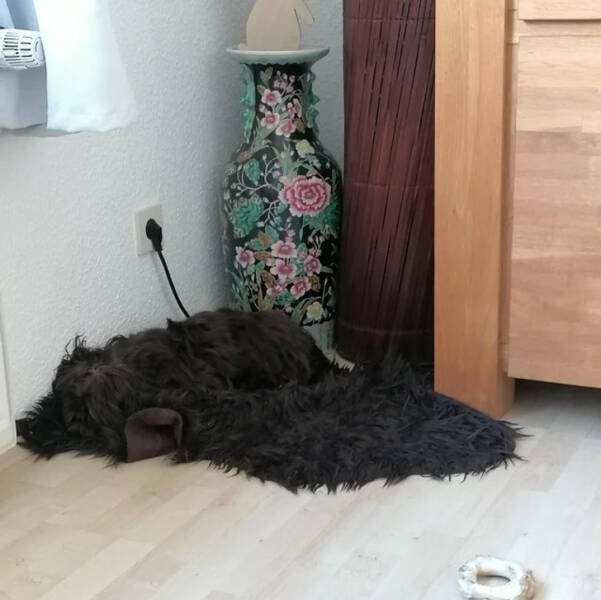 Look Twice (33 pics)