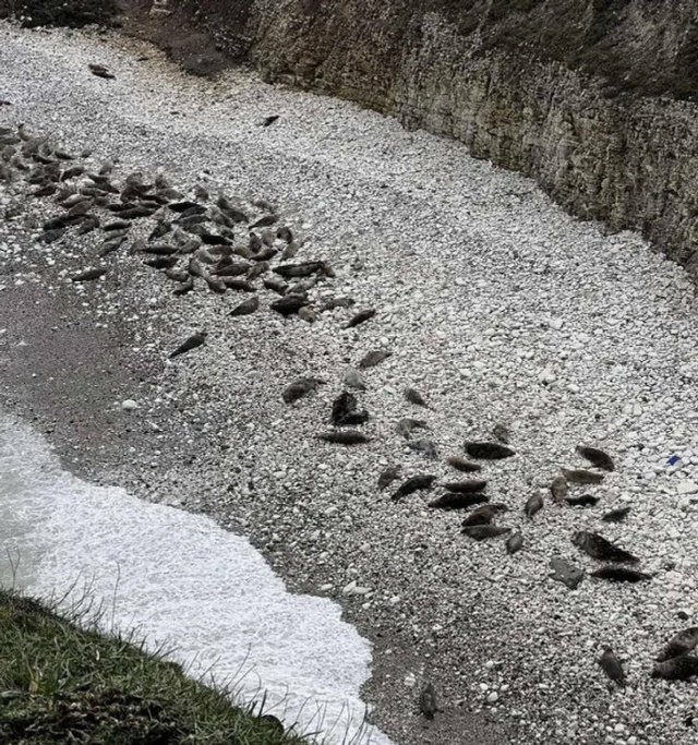 Look Twice (33 pics)