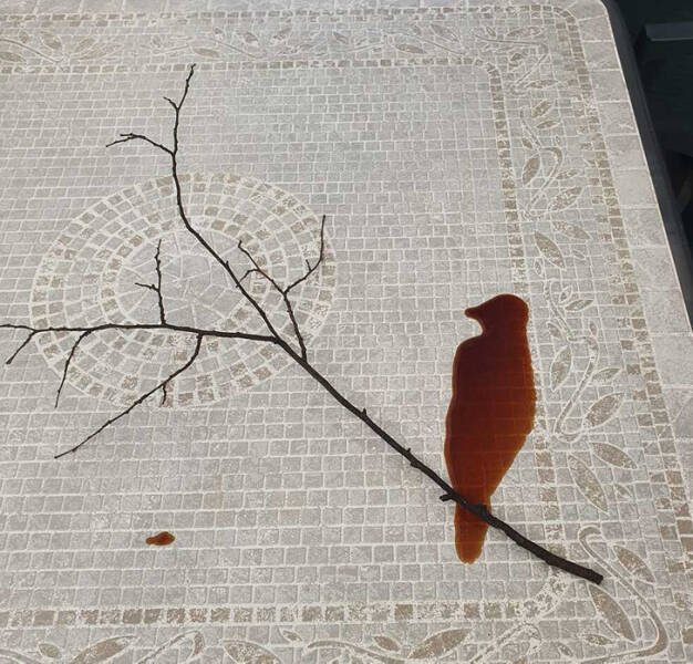 Look Twice (33 pics)