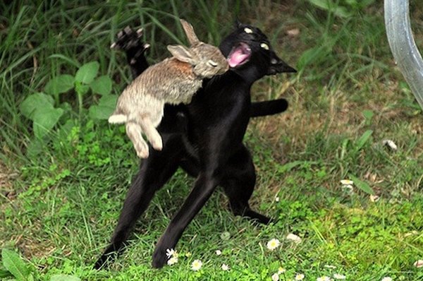 What Is Going On Here? (29 pics)