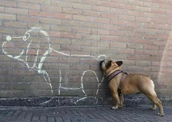 What Is Going On Here? (29 pics)