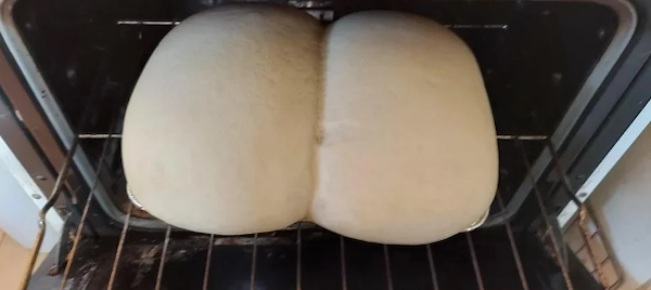 What Is Going On Here? (29 pics)