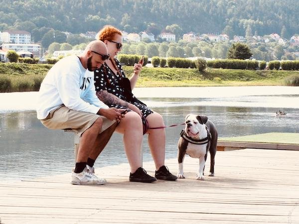 Interesting Optical Illusions (17 pics) Interesting Optical Illusions (17 pics)