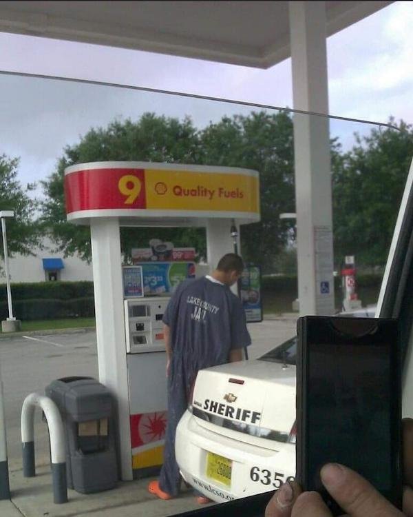 What Is Going On Here? (29 pics)