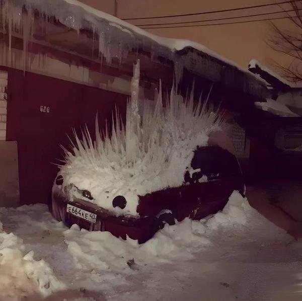 What Is Going On Here? (29 pics)