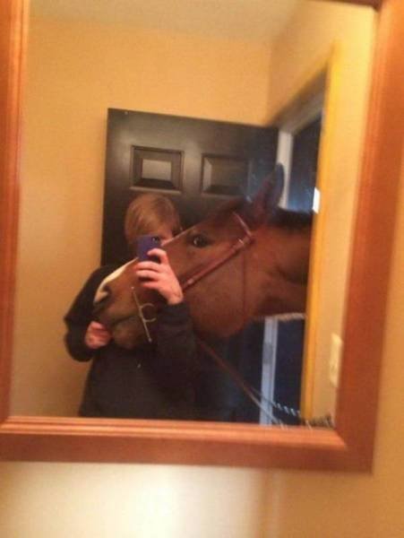 Funny Animals (48 pics)