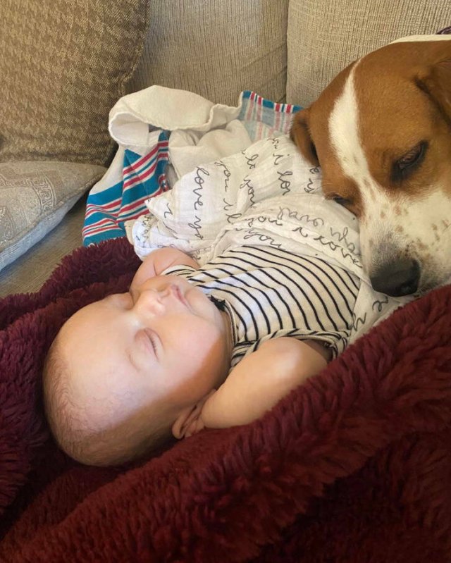 Life Is Beautiful (17 pics)